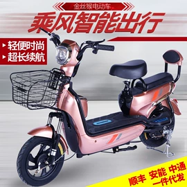 电动三轮车;其他电动车;电动代步车