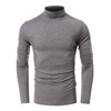 Demi-season warm long-sleeve, T-shirt, jacket, suitable for import, high collar, long sleeve, European style