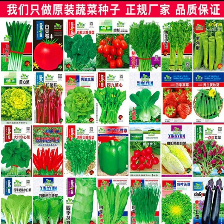 Семена овощей посев четыре сезона на террасе на ферме