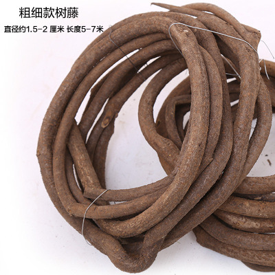 덩굴-두께 일치