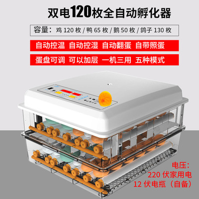 Incubadora de pollos al por mayor de comercio exterior, incubadora inteligente pequeña para el hogar, incubadora de huevos transfronteriza, incubadora de huevos inteligente