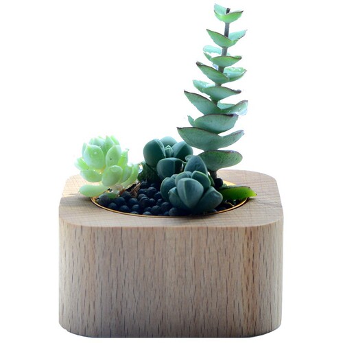 Nordic style home decoration succulent flower pot black walnut solid wood flower pot ins mini table decoration pen holder candle holder
