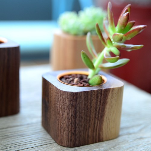Nordic style home decoration succulent flower pot black walnut solid wood flower pot ins mini table decoration pen holder candle holder