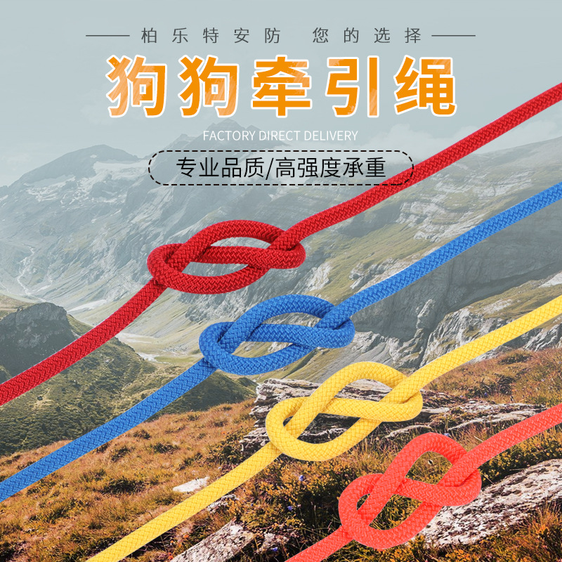 厂家供应尼龙狗狗牵引绳 耐拉宠物牵引绳牵引带辅料 遛狗绳狗链