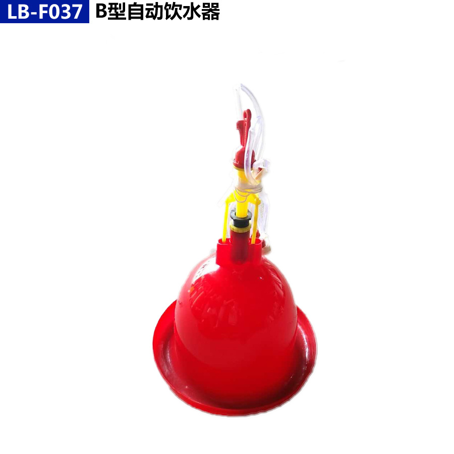 Pollo, pato y ganso dispensador automático de agua suministros de pollo Prasong pato alimentación de agua espesado grande, mediano y pequeño dispensador de agua