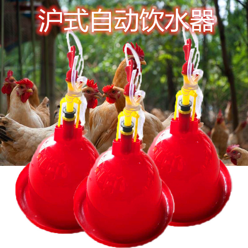 Pollo, pato y ganso dispensador automático de agua suministros de pollo Prasong pato alimentación de agua espesado grande, mediano y pequeño dispensador de agua