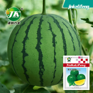 Դ�^�S�����l�S���ᭇ���ϷN�ӻ�Ƥ�S���S���YƷ�͹ϷN��ˮ���ѷN