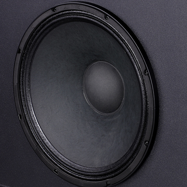 Audio Profesional del cine del equipo de altavoz multifuncional del estudio del pasillo del altavoz principal de 15 pulgadas