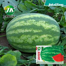 厂家批发郑杂五号西瓜种籽皮薄甜脆水果种子瓜果菜种孑籽种春夏季