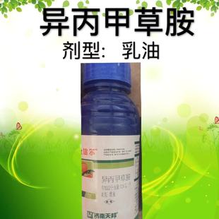 �����ײݰ�������������]���݄��߲˴��⹝����