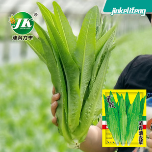 �A�E���������˷N���ļ����߲˷N����������҃�ͥԺ�N���ѷN�N��