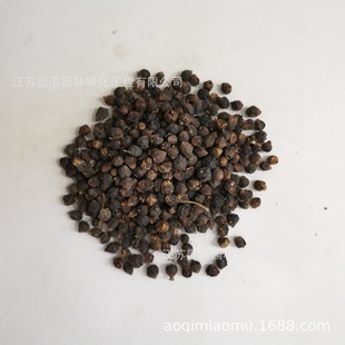 �S���~�N�ӽ��~���B�N�S��÷�N�ӱ��|����ѿ�ʸ����󃞻ݸ߳�ѿ��