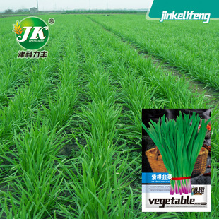 �ϸ��²˷N��탲˼t�������t�ļ��߲˷N���׷N��@�̨���Բ��ѷN