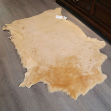 ɫëƤڱƤëһwbđƤ ЬЬЬIñ