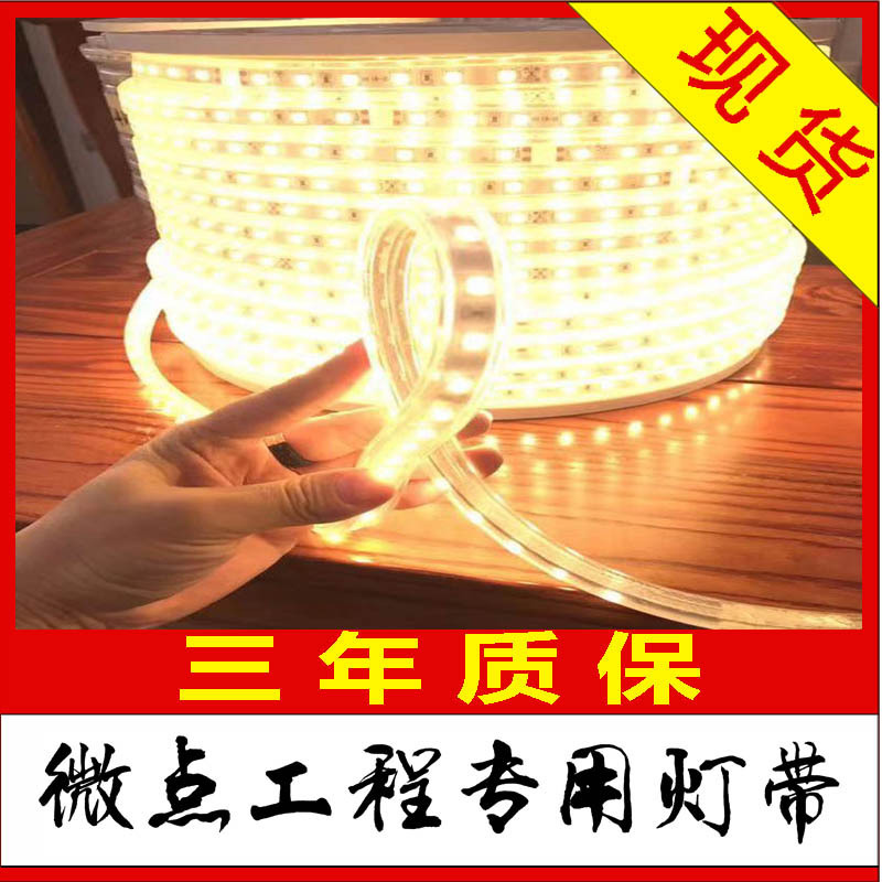 Engineering light strip DC24V/12v yacht ship dock decoration brightening cruise ship outline ferry Lighting LED light strip