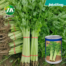 rAEС۷NˮС۲wSٴۻ߲