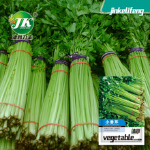 С���۷N��ˮ��С�۲˷N�������ļ����N�߲˷N��ͥԺ�̨�׷N�ѷN