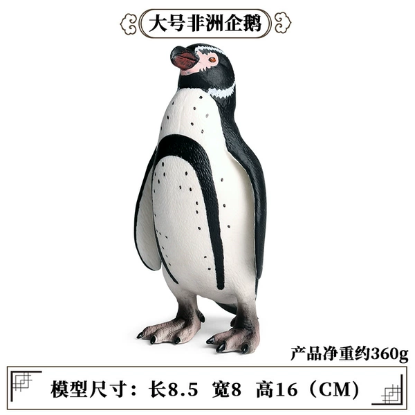 PL127-1182 Humboldt Penguin