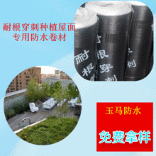 sbsͺ~̥͸̷ˮķNֲûW͸̾