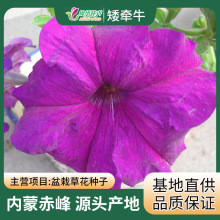 �s��F1�󻨰���ţ�N�� ���� ���R ��� �_���� ���Ȼ� �������@