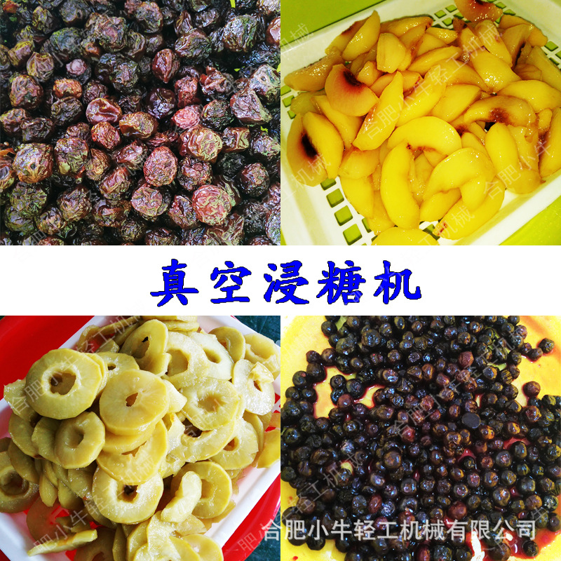 真空渗糖机 真空糖渍机 真空浸糖机 果脯蜜饯凉果干食品加工设备