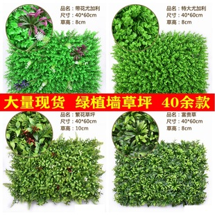 ����ֲ��Gֲ�b������ƺ�T�^�����������ϼٻ����҃Ȳ�Ƥ�̨