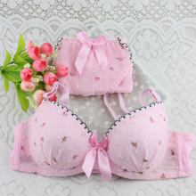 ��ϵ�����ٽzѩ���A�cС�黨С�ؾ۔n���؃������b�ɐ���Ů����