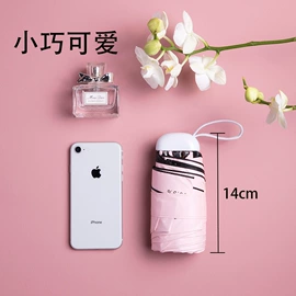 晴雨伞;遮阳/太阳伞;雨伞