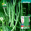 Huajun Wanjin Green, Silkless, Sweet Doudan Base Vegetable Farm Fiberless Four Seasons Doujong Bean Corner Seeds