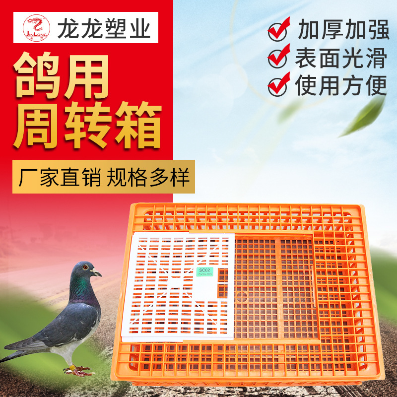 厂家供应 SC02鸽用周转箱蛋鸡笼塑料鸡笼鸡用周转箱养殖设备