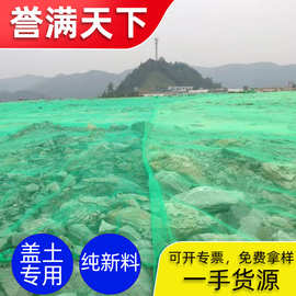 定制工厂防沙网大棚覆盖网建筑工地抑尘网 聚乙烯绿色扁丝固沙网