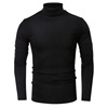 Demi-season warm long-sleeve, T-shirt, jacket, suitable for import, high collar, long sleeve, European style