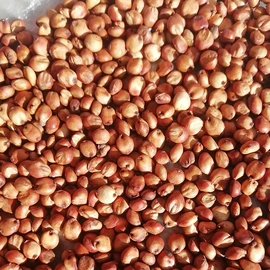 豆类;高粱类;鸟食