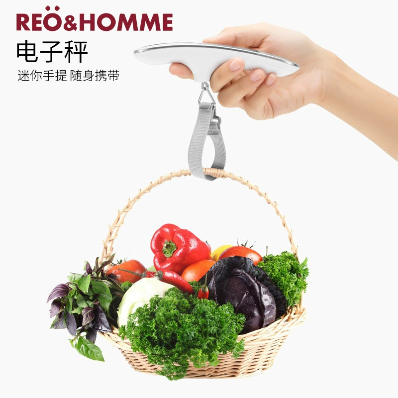 Дорожные весы для багажа портативные электронные весы Мини небольшие портативные прецизионные ручные весы небольшие Экспресс-пружинные Весы