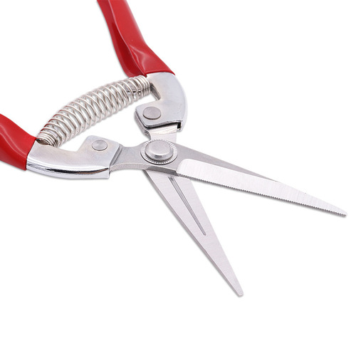 Yangjiang Wholesale Red Thick Branch Pruners Manual Fruit Tree Pruners Stainless Steel Garden Scissors
