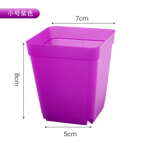 7*7 meat pot purple