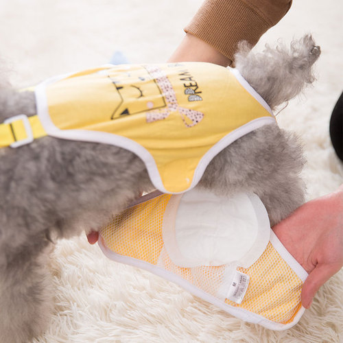 Pet pads, dog menstrual pants, menstrual pants, cat menstrual care pads, diapers, sanitary napkins