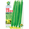 Long fragrant loofah seeds special crispy tender and fragrant meat thick court courtyard garden climbing vine seeds spring vegetable melon fruit seed seeds