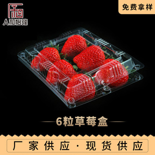 6����ݮ���b�� ͸�����ϲ�ݮ�� ����ˮ�����b���ܷ��͸��