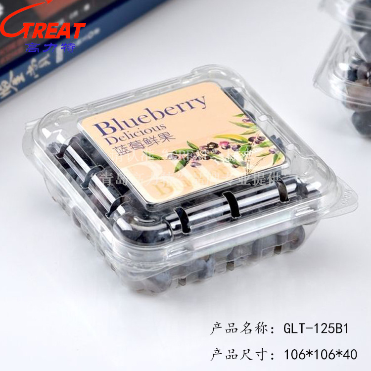 厂家可加工125克蓝莓包装盒 一次性有盖水果包装盒透明蓝莓包装盒