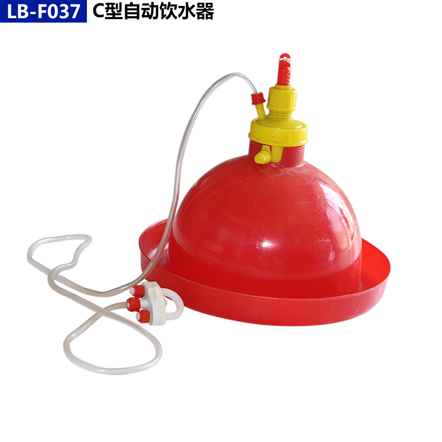 Pollo, pato y ganso dispensador automático de agua suministros de pollo Prasong pato alimentación de agua espesado grande, mediano y pequeño dispensador de agua