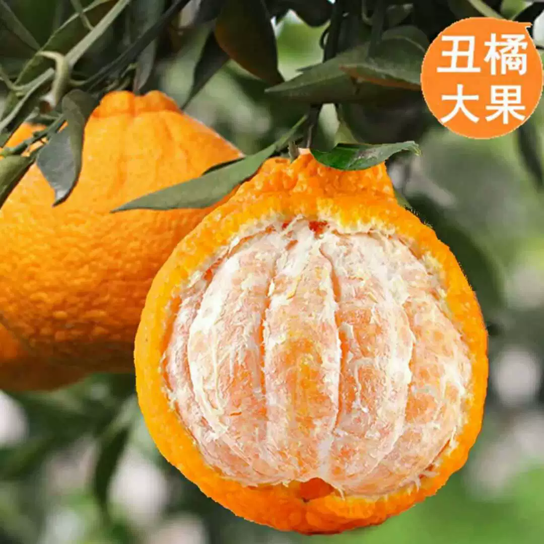 [Сычуаньский оранжевый миношира] Ugly Citrus, а не Ehime Pomegranate, доставка 4.5kg целой коробки свежих фруктов