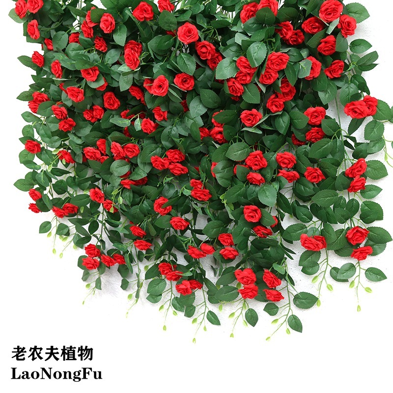 Reprehenderit qui in ea