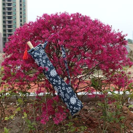 扇子;女士单肩包;工艺伞