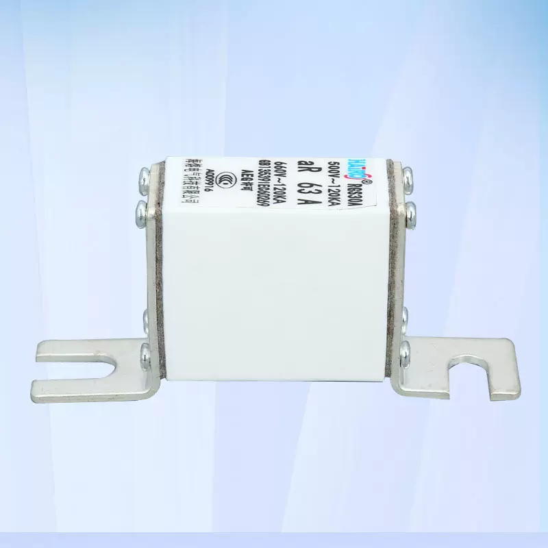 定制RGS30A保险丝 660V熔断器  方型保险丝 螺栓连接式快速熔断器