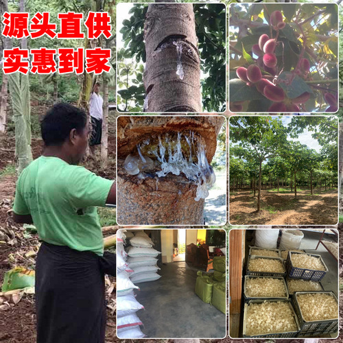 Silken Snow Fungus, Direct Supply from Origin Silken Snow Fungus, Dragon's Hair First-Hand Source Distribution and Forwarding