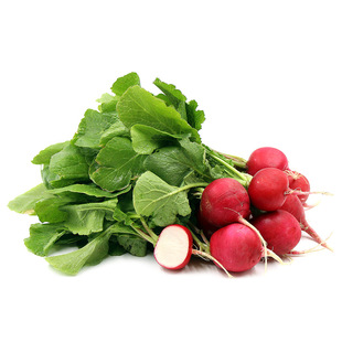 }N tɫˮ} ļ߲˷N̨ˮ߲˷NӲ