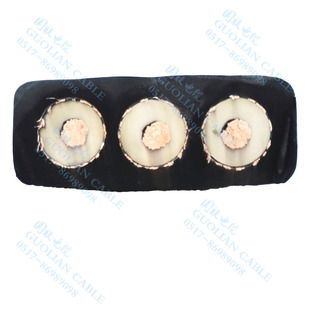 GKFB-10KV3*35+3*16/3��ʲô��|��݆�C�������׾�Ͳ����|