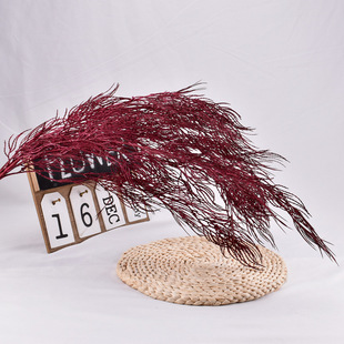 }Pβ~ c쾰߼ٻϻPβ 滨