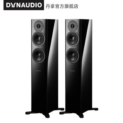 Dynaudio/Dana Evoke 30 passive TV floor speaker home audio hifi floor-to-ground box